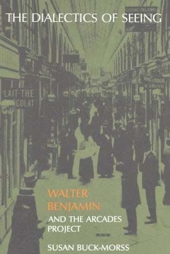 Бумажная книга «The Dialectics of Seeing: Walter Benjamin and the Arcades Project», автор Сьюзан Бак-Морсс - фото №1
