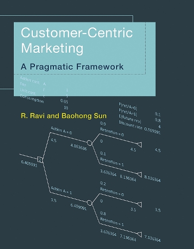 Паперова книга «Customer-Centric Marketing: A Pragmatic Framework», авторів Баодун Сунь, Р. Раві - фото №1