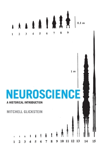 [object Object] «Neuroscience: A Historical Introduction», автор Митчелл Гликштейн - фото №1