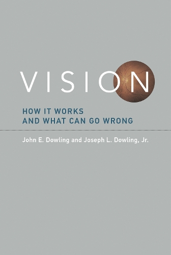 Бумажная книга «Vision: How It Works and What Can Go Wrong», авторов Джон Э. Даулинг, Джозеф Л. Даулинг-младший - фото №1