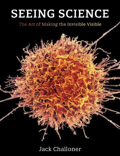 Бумажная книга «Seeing Science: The Art of Making the Invisible Visible», автор Джек Шаллонер - фото №1