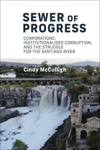 Бумажная книга «Sewer of Progress: Corporations, Institutionalized Corruption, and the Struggle for the Santiago River», автор Синди Маккалли - фото №1