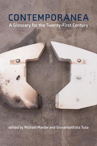 Паперова книга «Contemporanea: A Glossary for the Twenty-First Century», авторів Джованбаттіста Туса, Майкл Мардер - фото №1