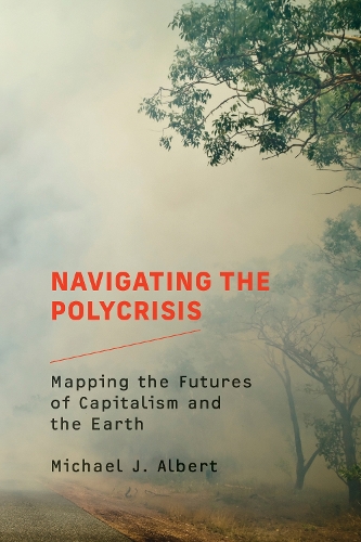Бумажная книга «Navigating the Polycrisis: Mapping the Futures of Capitalism and the Earth», автор Майкл Дж. Альберт - фото №1