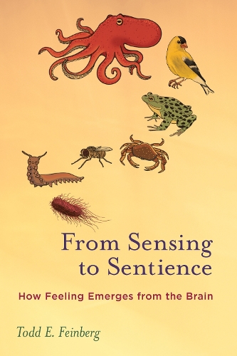 Бумажная книга «From Sensing to Sentience: How Feeling Emerges from the Brain», автор Тодд Э. Файнберг - фото №1