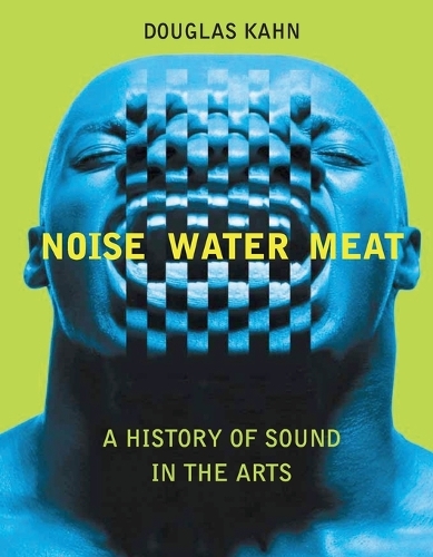 Бумажная книга «Noise, Water, Meat: A History of Sound in the Arts», автор Дуглас Кан - фото №1