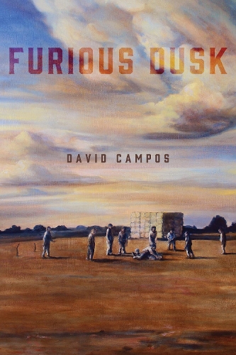 Бумажная книга «Furious Dusk», автор Дэвид Кампос - фото №1