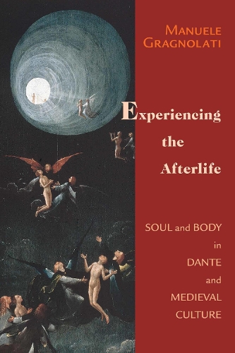 Бумажная книга «Experiencing the Afterlife: Soul and Body in Dante and Medieval Culture», автор Мануэле Грагнолати - фото №1