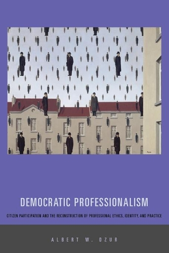 Паперова книга «Democratic Professionalism: Citizen Participation and the Reconstruction of Professional Ethics, Identity, and Practice», автор Альберт В. Дзур - фото №1
