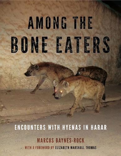 Бумажная книга «Among the Bone Eaters: Encounters with Hyenas in Harar», автор Маркус Бейнс-Рок - фото №1