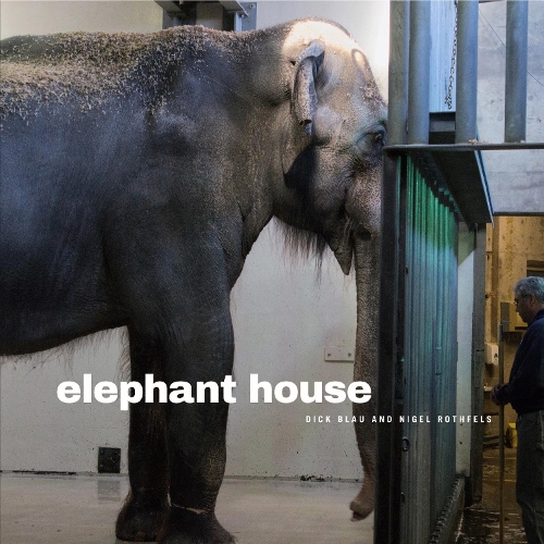 Паперова книга «Elephant House», автор Найджел Ротфелс - фото №1
