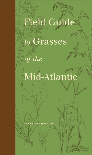 Бумажная книга «Field Guide to Grasses of the Mid-Atlantic», автор Сара Чемберлен - фото №1