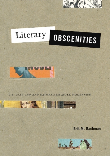 Бумажная книга «Literary Obscenities: U.S. Case Law and Naturalism after Modernism», автор Эрик М. Бахман - фото №1