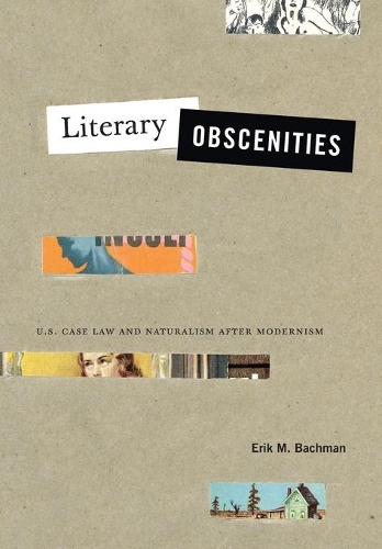 Бумажная книга «Literary Obscenities: U.S. Case Law and Naturalism after Modernism», автор Эрик М. Бахман - фото №1