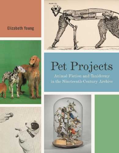 Бумажная книга «Pet Projects: Animal Fiction and Taxidermy in the Nineteenth-Century Archive», автор Элизабет Янг - фото №1