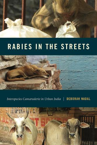 Бумажная книга «Rabies in the Streets: Interspecies Camaraderie in Urban India», автор Дебора Надаль - фото №1
