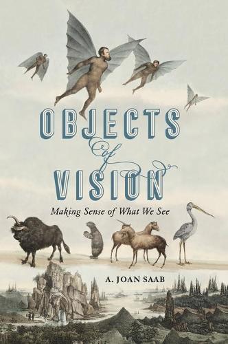 Бумажная книга «Objects of Vision: Making Sense of What We See», автор А. Джоан Сааб - фото №1