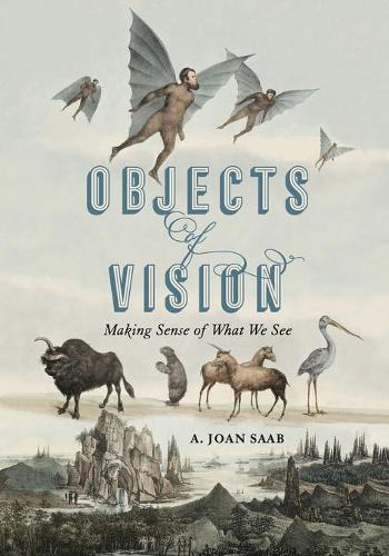 Бумажная книга «Objects of Vision: Making Sense of What We See», автор А. Джоан Сааб - фото №1