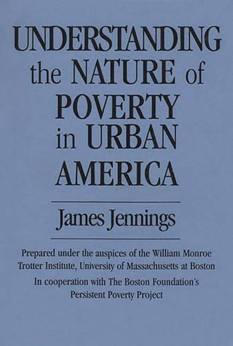 Бумажная книга «Understanding the Nature of Poverty in Urban America», автор Джеймс Дженнингс - фото №1