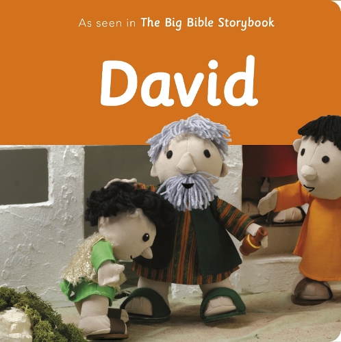 Бумажная книга «David: As Seen In The Big Bible Storybook», автор Мэгги Барфилд - фото №1
