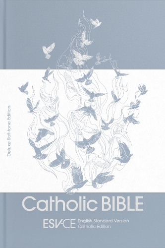 Паперова книга «ESV-CE Catholic Bible, Anglicized Deluxe Soft-tone Edition: English Standard Version – Catholic Edition», автор SPCK ESV-CE Bibles - фото №1