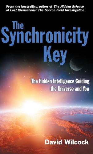 Паперова книга «The Synchronicity Key: The Hidden Intelligence Guiding the Universe and You», автор Девід Вілкок - фото №1