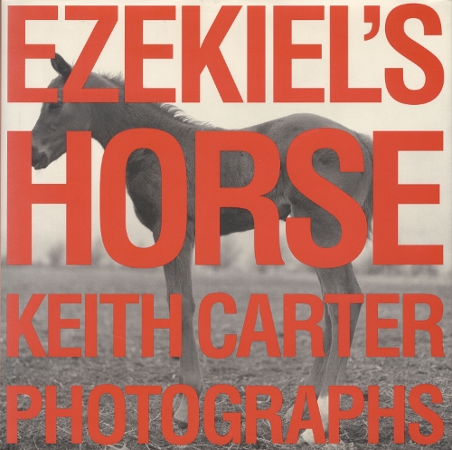 Паперова книга «Ezekiel's Horse», автор Кіт Картер - фото №1