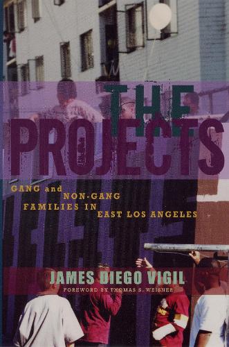 Бумажная книга «The Projects: Gang and Non-Gang Families in East Los Angeles», автор Джеймс Диего Вигил - фото №1