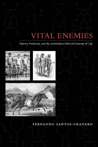 Бумажная книга «Vital Enemies: Slavery, Predation, and the Amerindian Political Economy of Life», автор Фернандо Сантос-Гранеро - фото №1