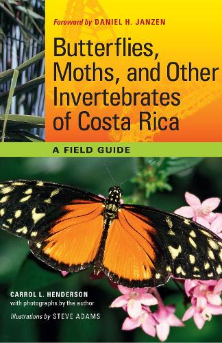 Бумажная книга «Butterflies, Moths, and Other Invertebrates of Costa Rica: A Field Guide», автор Кэррол Л. Хендерсон - фото №1