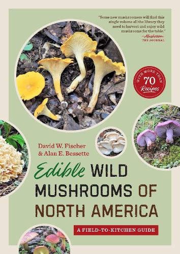 Бумажная книга «Edible Wild Mushrooms of North America: A Field-to-kitchen Guide», авторов Алан Э. Бессетт, Дэвид В. Фишер - фото №1