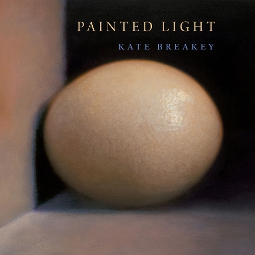 Бумажная книга «Painted Light», автор Кейт Брейки - фото №1