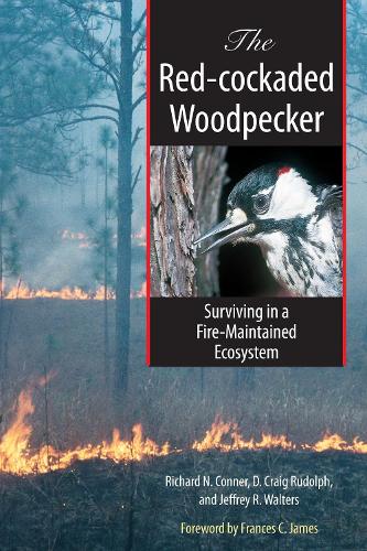 Паперова книга «The Red-cockaded Woodpecker: Surviving in a Fire-Maintained Ecosystem», авторів Д. Крейг Рудольф, Джеффрі Р. Волтерс, Річард Коннер - фото №1