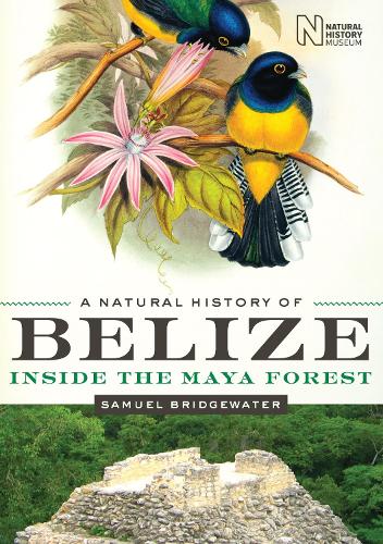 Бумажная книга «A Natural History of Belize: Inside the Maya Forest», автор Сэмюэл Бриджуотер - фото №1