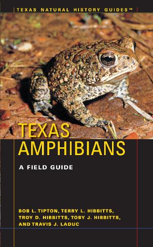 Паперова книга «Texas Amphibians: A Field Guide», авторів Боб Л. Тіптон, Террі Л. Гіббітс, Тобі Дж. Гіббітс, Тревіс Дж. ЛаДюк, Трой Д. Гіббітс - фото №1
