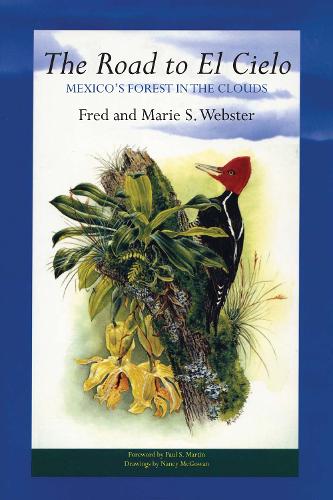 Паперова книга «The Road to El Cielo: Mexico's Forest in the Clouds», авторів Фред Вебстер, Марі С. Вебстер - фото №1