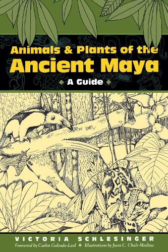 Бумажная книга «Animals and Plants of the Ancient Maya: A Guide», автор Виктория Шлезингер - фото №1
