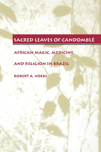 Бумажная книга «Sacred Leaves of Candomblé: African Magic, Medicine, and Religion in Brazil», автор Роберт А. Воэкс - фото №1