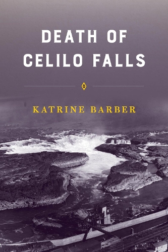 Паперова книга «Death of Celilo Falls», автор Катрін Барбер - фото №1