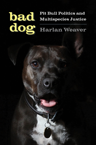 Бумажная книга «Bad Dog: Pit Bull Politics and Multispecies Justice», автор Харлан Уивер - фото №1
