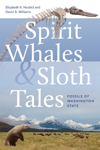 Бумажная книга «Spirit Whales and Sloth Tales: Fossils of Washington State», авторов Дэвид Б. Уильямс, Элизабет А. Несбитт - фото №1
