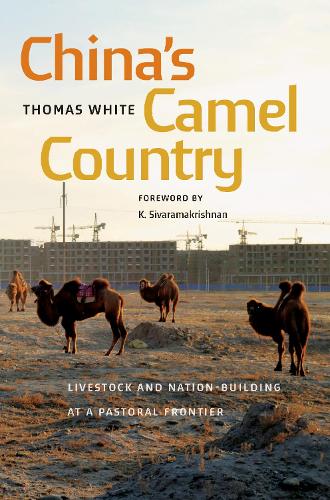 Бумажная книга «China's Camel Country: Livestock and Nation-Building at a Pastoral Frontier», автор Томас Уайт - фото №1
