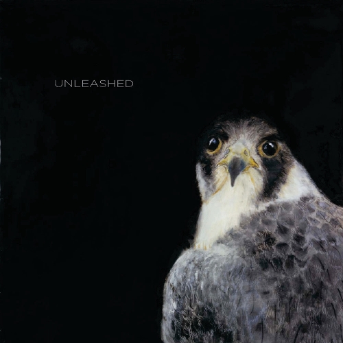 Бумажная книга «Unleashed», автор Кэтрин Итон Скиннер - фото №1