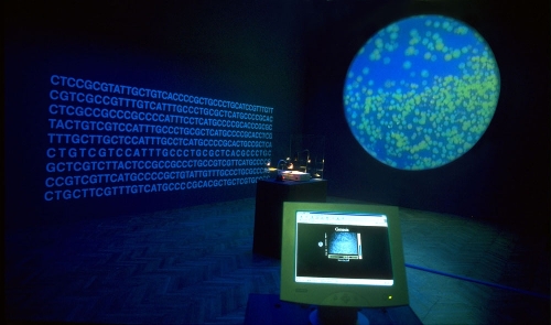Бумажная книга «Bioart and the Vitality of Media», автор Роберт Э. Митчелл - фото №1