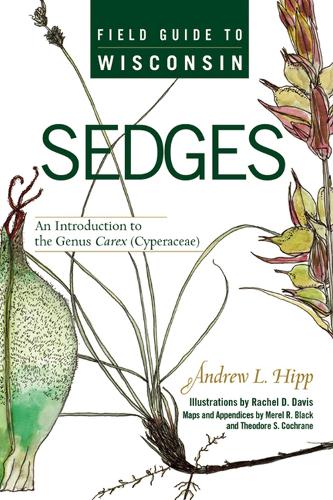 Бумажная книга «Field Guide to Wisconsin Sedges: An Introduction to the Genus Carex (Cyperaceae)», автор Эндрю Хипп - фото №1