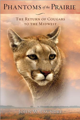 Бумажная книга «Phantoms of the Prairie: The Return of Cougars to the Midwest», автор Джон В. Ландере - фото №1