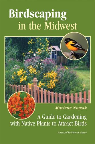 Бумажная книга «Birdscaping in the Midwest: A Guide to Gardening with Native Plants to Attract Birds», автор Мариэтт Новак - фото №1