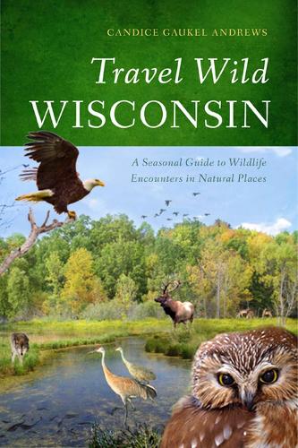 Бумажная книга «Travel Wild Wisconsin: A Seasonal Guide to Wildlife Encounters in Natural Places», автор Кэндис Гаукель Эндрюс - фото №1