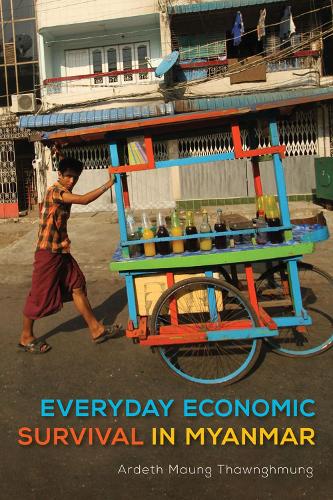 Бумажная книга «Everyday Economic Survival in Myanmar», автор Ардет Маунг Тхаунгмунг - фото №1
