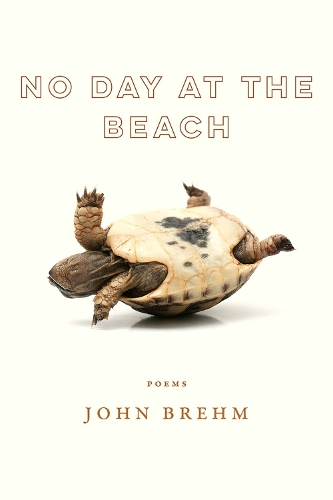 Бумажная книга «No Day at the Beach», автор Джон Брем - фото №1